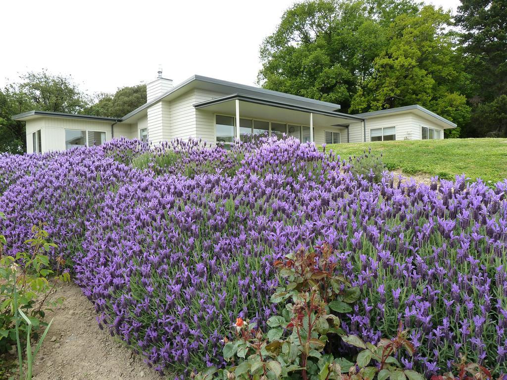 L'Abri Bed And Breakfast Akaroa Room photo