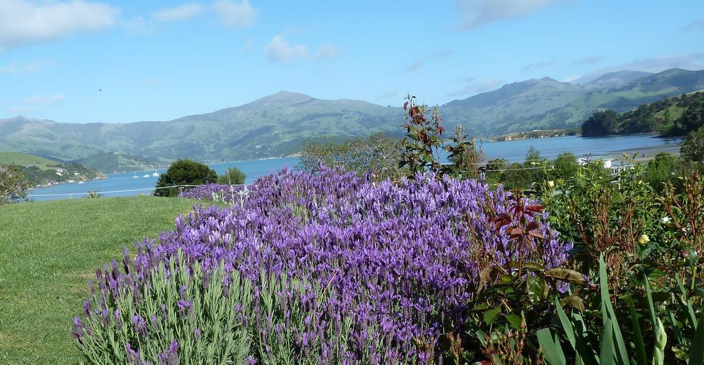 L'Abri Bed And Breakfast Akaroa Exterior photo