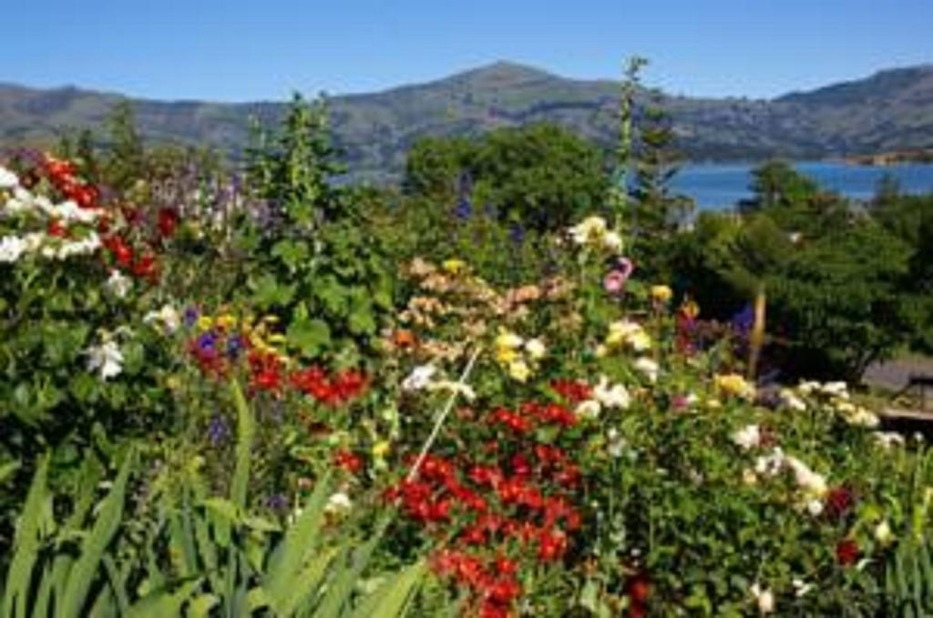 L'Abri Bed And Breakfast Akaroa Exterior photo