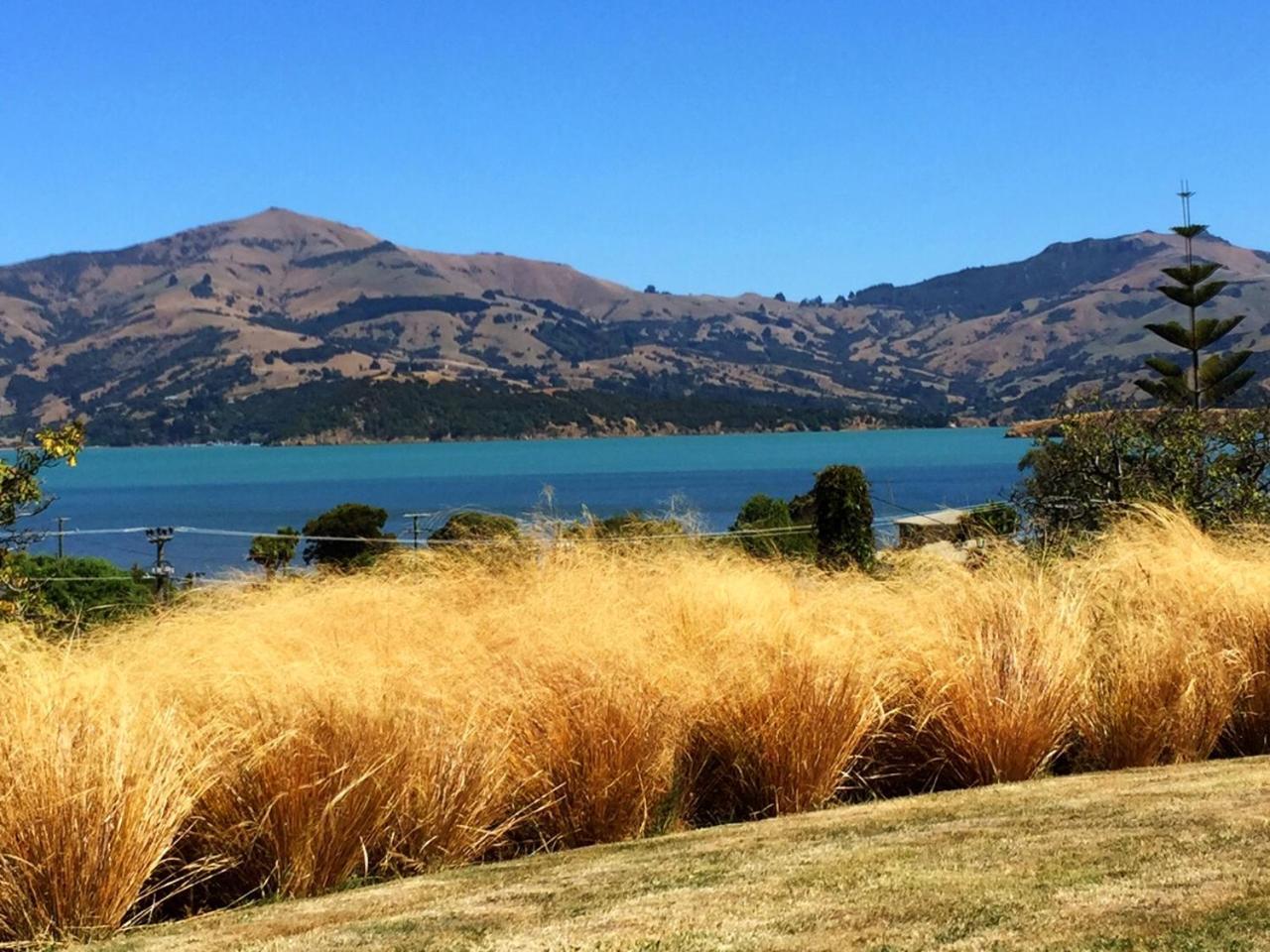 L'Abri Bed And Breakfast Akaroa Exterior photo